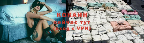 тгк Абинск