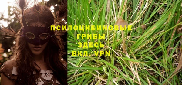 ПСИЛОЦИБИНОВЫЕ ГРИБЫ Алексеевка