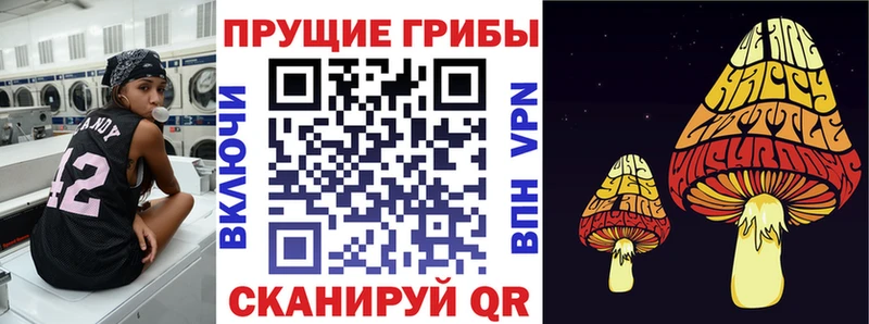 Галлюциногенные грибы GOLDEN TEACHER Калачинск